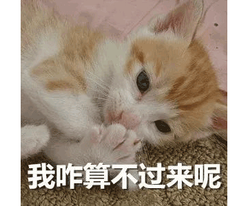 別等618了，本周末就能鎖定裝修優(yōu)惠！