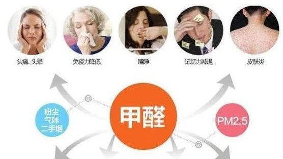 春季家裝節(jié)，綠色煥新月，優(yōu)惠享不停！