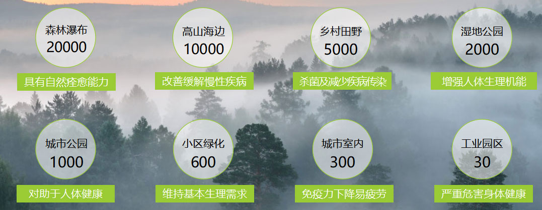 618家裝風(fēng)暴｜健康養(yǎng)生墻面全城首發(fā)！