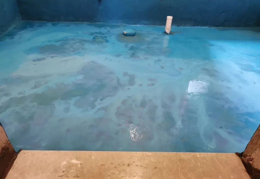 工地突擊巡檢｜沒想到，這家工地竟治愈了我的“強迫癥”