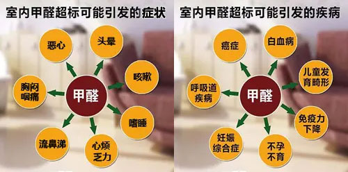 擔(dān)心家里甲醛超標(biāo)，教您一招，安安心心住新家！